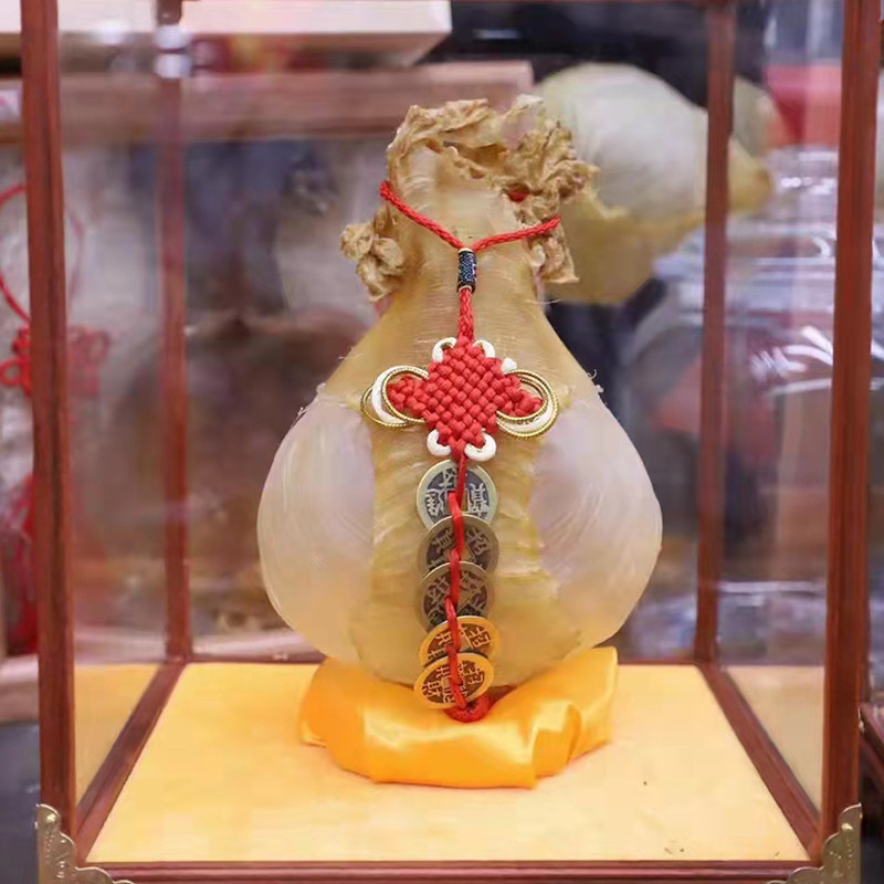 横直鱼胶灯笼胶龙骨胶胶多须石首鱼深海花胶干货