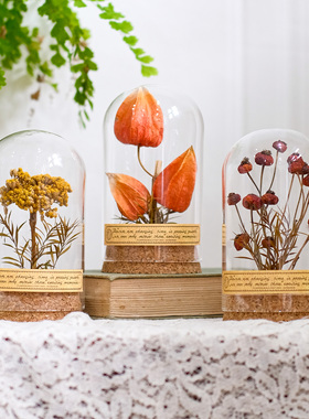 复古植物标本摆件向日葵玻璃罩微景观创意生日礼物书架装饰送老师