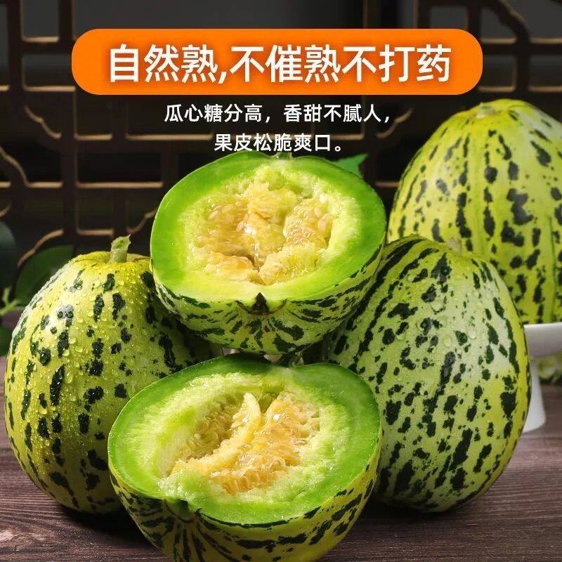 山东花美人甜瓜头茬时令八里香瓜水果现摘脆瓜香瓜蜜瓜花蕾瓜包邮