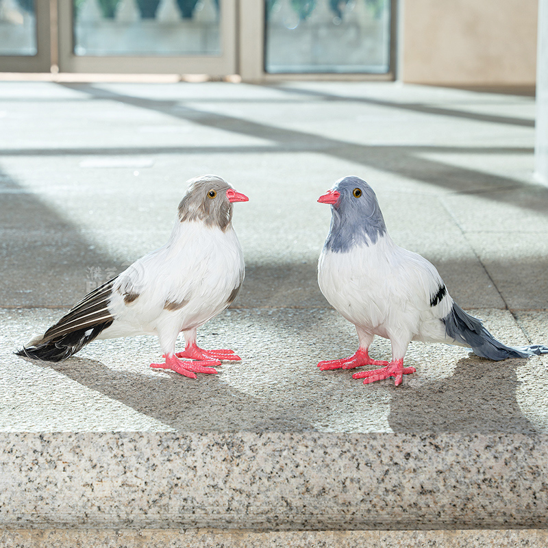 【仿真鸽子】摆件白鸽婚庆道具和平鸽模型真羽毛可悬挂仿真鸟标本