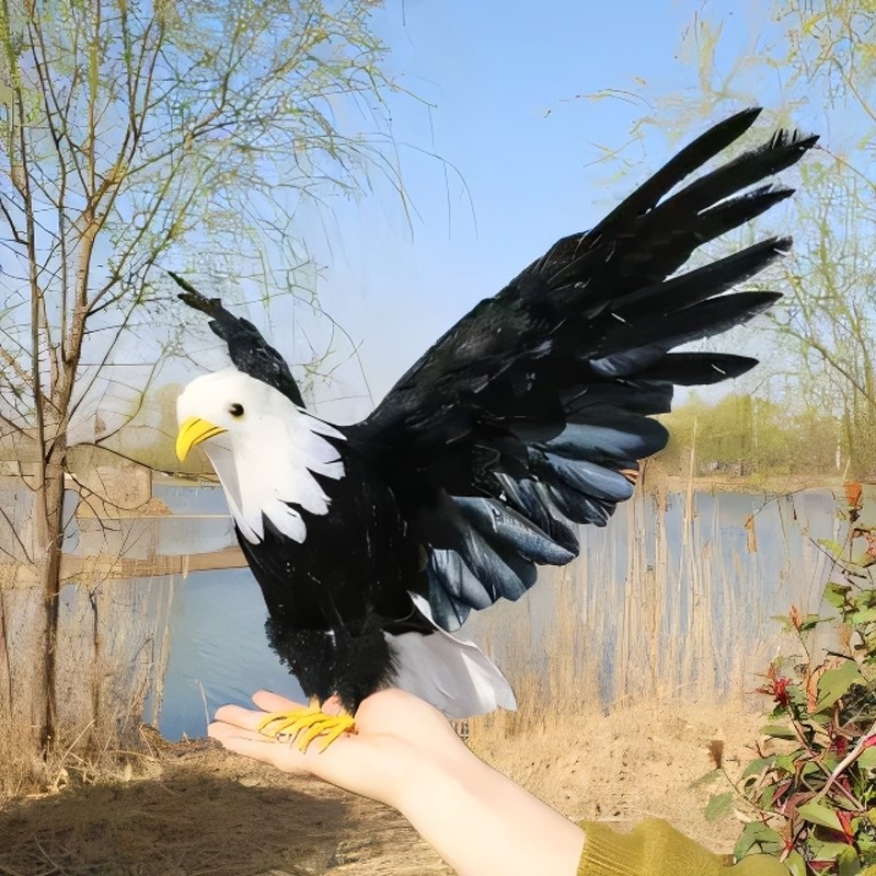 仿真老鹰海雕秃鹫摆件庭院家居真羽毛装饰模型猛禽类教学展览道具