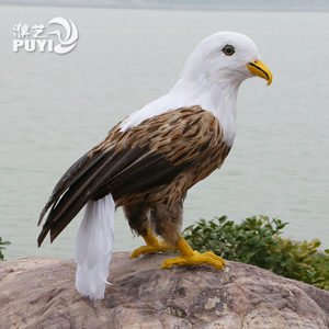 仿真老鹰白头鹰羽毛工艺品创意园林影视鸟道