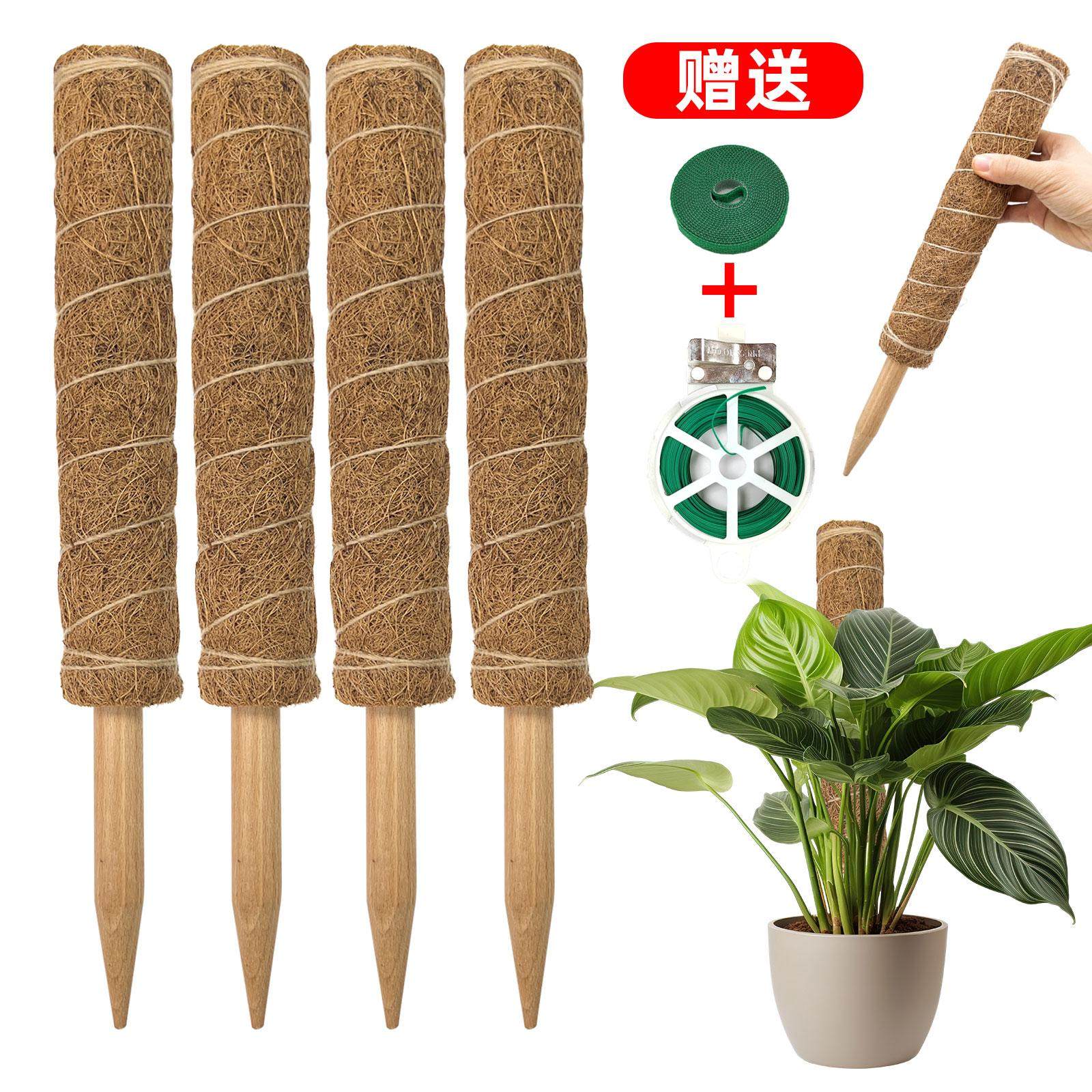 园艺龟背竹水苔柱支撑苔藓杆龟背竹支架攀爬棕柱椰棕棒