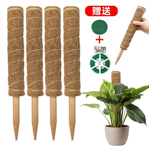 棕柱椰丝纤维柱爬藤植物绿植支架