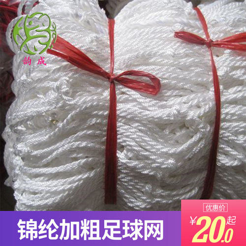 锦纶加粗标准足球比赛
