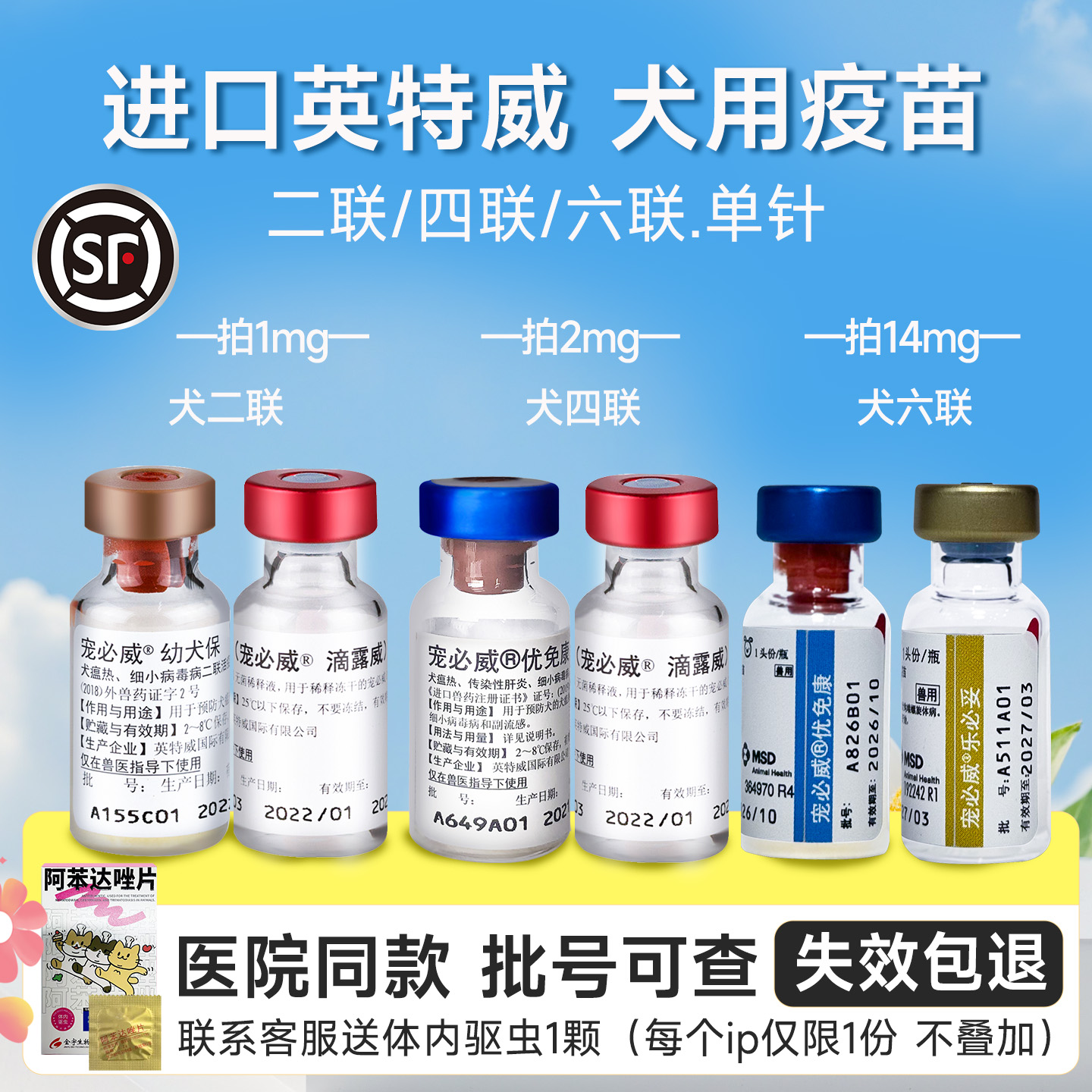 荷兰进口英特威狗狗六联疫苗四联