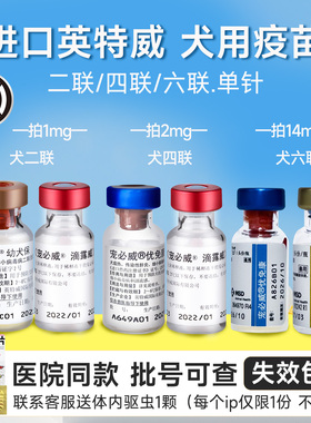 荷兰进口英特威狗狗二联疫苗宠物成犬幼犬246联四联狂犬预防针