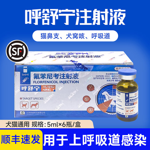 猫咪鼻支疱疹病毒感冒打喷嚏咳嗽
