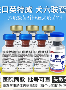 进口英特威梅里亚六联犬用6联防疫疫苗预防犬瘟细小钩端成犬幼犬
