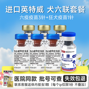 进口英特威梅里亚六联犬用6联防疫疫苗预防犬瘟细小钩端成犬幼犬