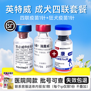 荷兰英特威四联六联大狗成犬育苗预防针幼犬疫苗套装狂犬金毛泰迪