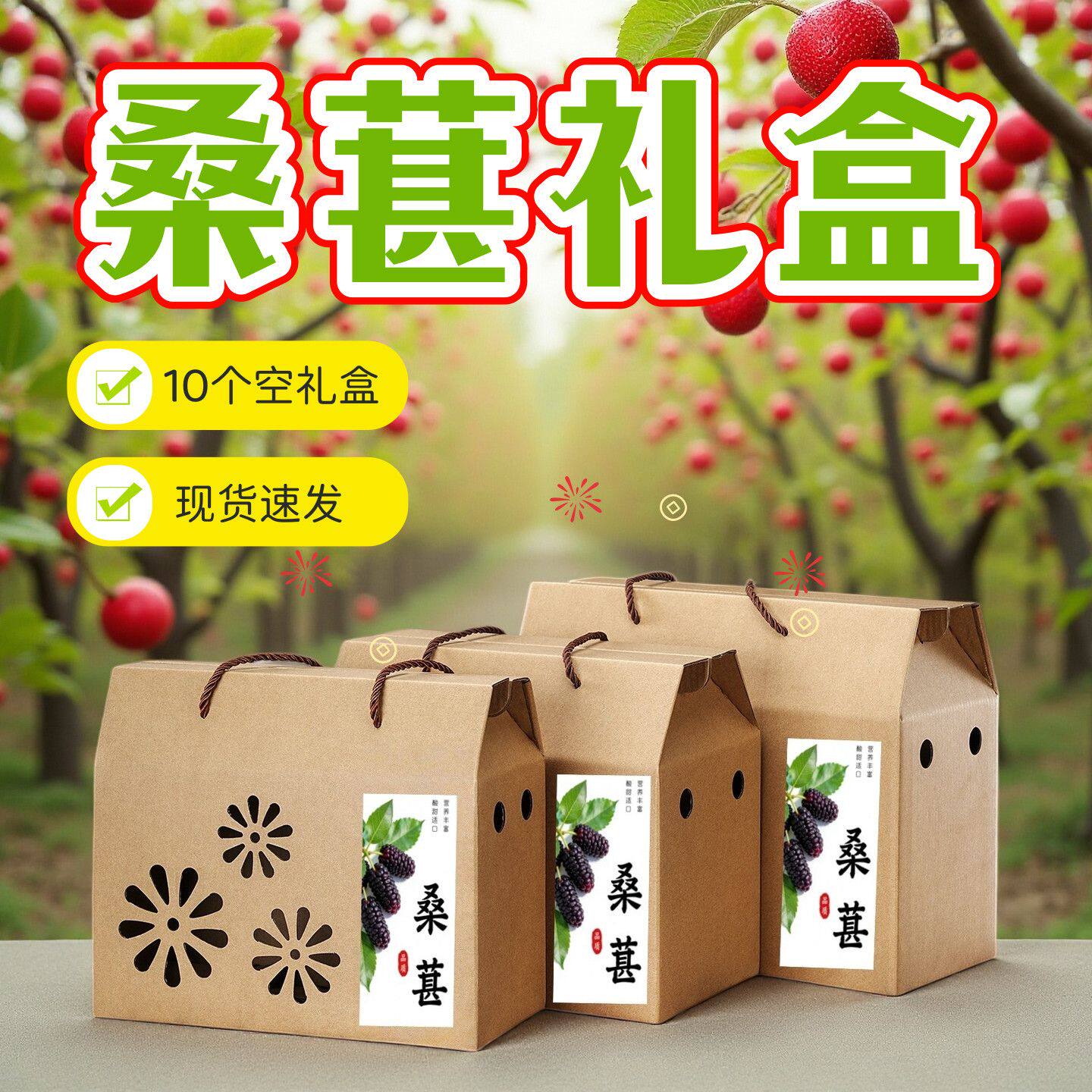 桑葚包装盒桑椹桑枣礼盒2-10斤装桑果送礼礼盒乌椹桑炮儿礼盒