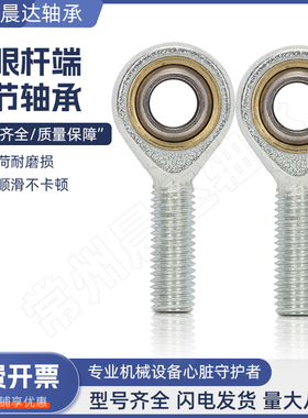 鱼眼杆端关节轴承SA5 SAL6 8 10 12 14 16 18 20 22 25 28 30T/K