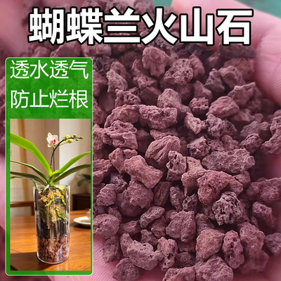 兰花种植专用透气多孔火山石