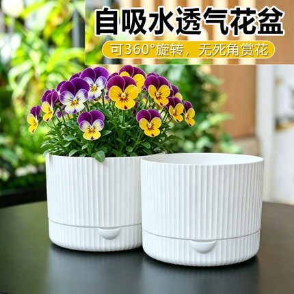 透气储水自吸花盆圆形树脂风生水起可旋转盆小绿植4.5寸蝴蝶兰盆