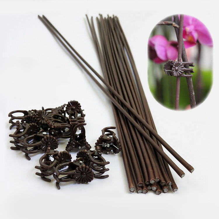 【10根】蝴蝶兰造型专用支架花卉盆栽植物扶枝固定撑杆铁丝线支柱