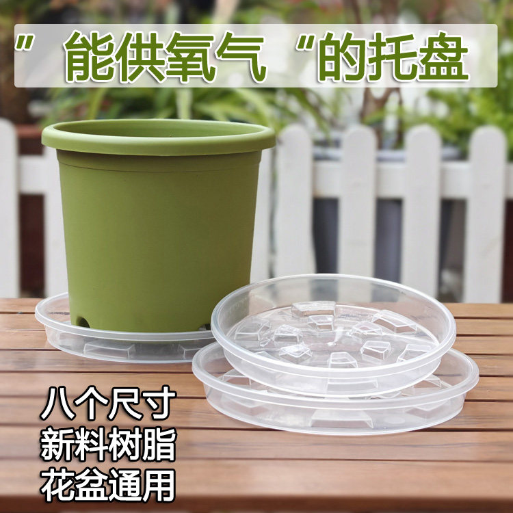 透气垫脚+蓄水凹槽透明色圆托盘