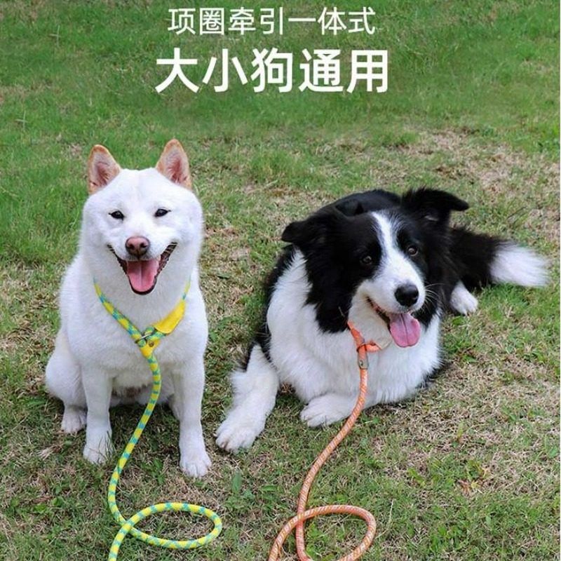 绳狗狗牵引绳外出防爆冲训犬专用
