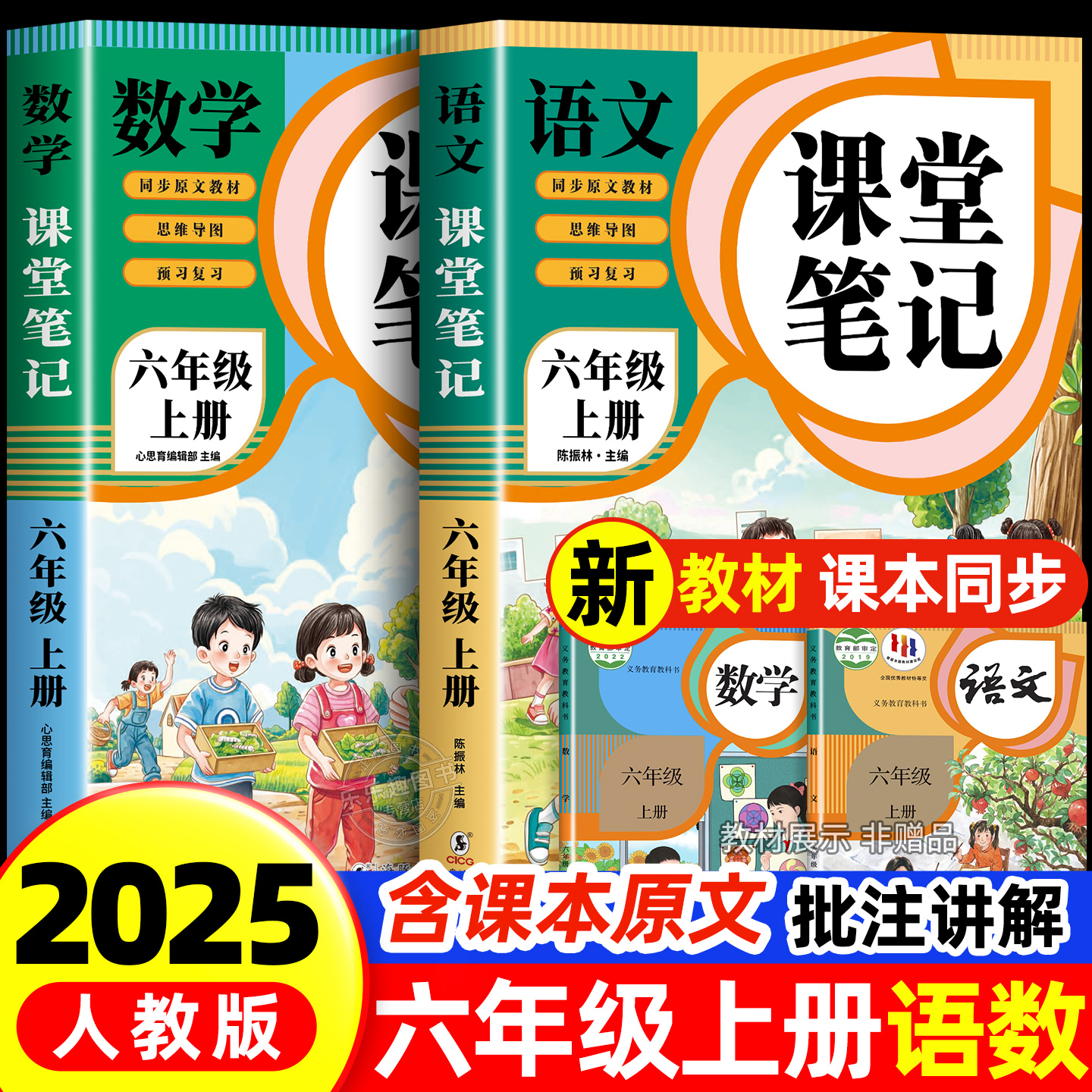 课堂笔记六年级上册人教版