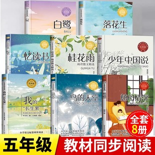 老師推薦 五年級必讀課外書上冊 正版 全套八冊 落花生桂花雨搭石枕草子白鷺?biāo)墒蟠饶盖樯钆＠煽椗倌曛袊f 閱讀
