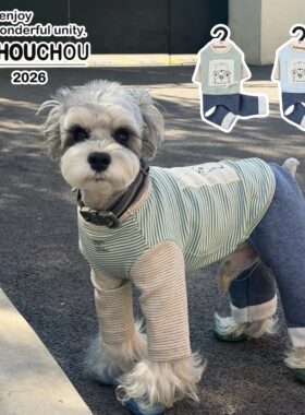 丑丑2026新款小型犬狗衣服秋冬四脚衣泰迪比熊雪纳瑞宠物打底裤