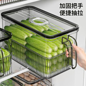 冰箱收纳盒整理密封盒2025年新款食品级保鲜盒蔬菜水果鸡蛋大容量