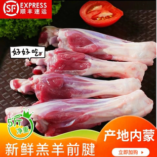 内蒙古羔羊小腿羊前腱新鲜羊腿烧烤食材羊腿肉羊前棒商用草原散养