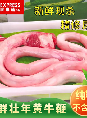 牛鞭新鲜整根精修尿管发货不带牛蛋特大壮年黄牛鞭男用滋补好食材