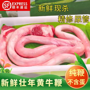 牛鞭新鲜整根精修尿管发货不带牛蛋特大壮年黄牛鞭男用滋补好食材