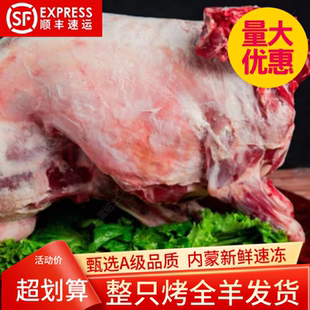 内蒙古散养烤全羊整只现杀新鲜烧烤食材鲜羊肉不切小羔羊顺丰发货