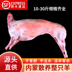 烤全羊整只新鲜10斤至30斤小羔羊烤羊腿烤羊排内蒙古烤整只羊商用