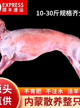 烤全羊整只新鲜10斤至30斤小羔羊烤羊腿烤羊排内蒙古烤整只羊商用
