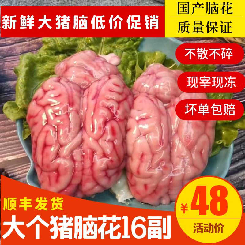 脑花新鲜商用火锅食材16副大个头左右脑加小脑烧烤脑新品促销包邮 水产肉类/新鲜蔬果/熟食 其它猪肉类 原图主图