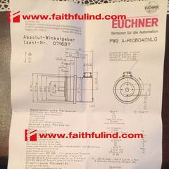 Euchner 071697 安士能安全模块 PWG A-R10B04ONLG