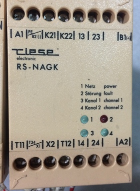 TLESE原装正品安全继电器RS-NAGK 24VAC24VDC 现货