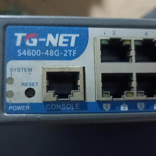 TG-NET    交换机S4600-48G-2TF  议价