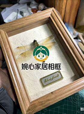 欧式立体4厘米中空标本昆虫相框