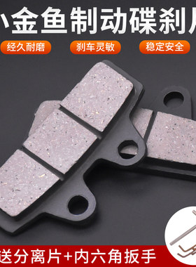 电摩电动车小金鱼碟刹片杰宝大王下泵刹车片X战警四海力王碟刹皮