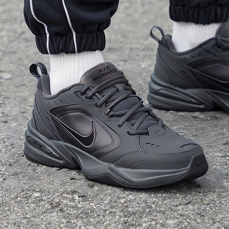 耐克官方正品男鞋运动鞋2025新款训练鞋透气缓震跑步鞋415445-020