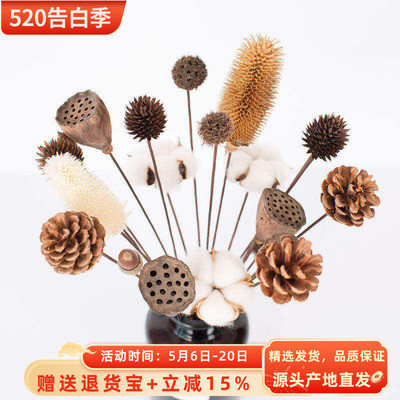 禅意干花松果松塔云彬紫荆花秋葵