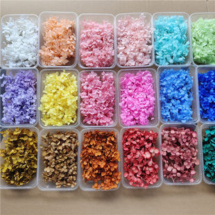 5g安娜小叶绣球永生花玻璃罩相框装饰手工diy材料包真花高级装饰