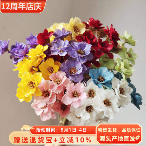 手工银铃花干花 ins风摆件文艺装饰小清新小梅花风铃花家居装饰