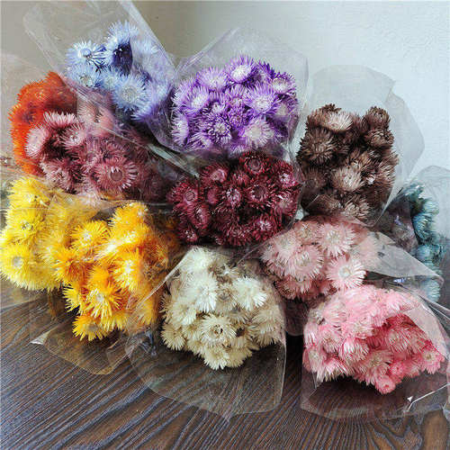 旱雪莲干花花束花万家装饰