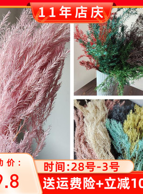 永生千层金 森系自然干花礼盒 真花叶子树枝配材北欧家居装饰