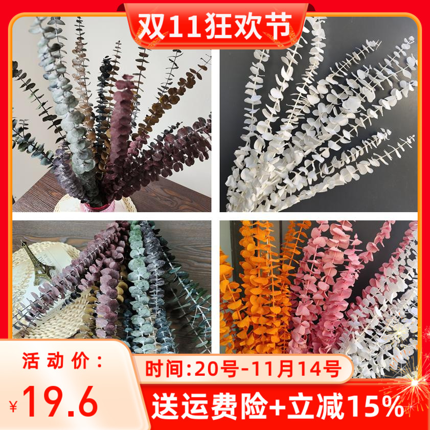 尤加利叶铜钱桉花万家装饰干花