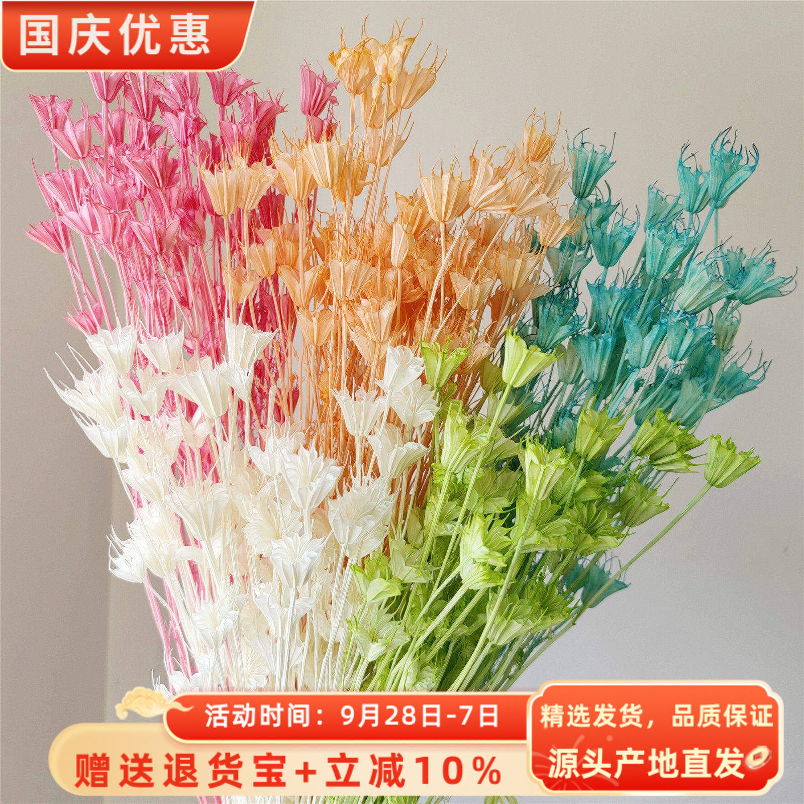 八角花干花森系复古diy材料树枝