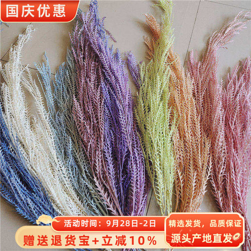 剑齿叶锯齿叶花万家永生花高端