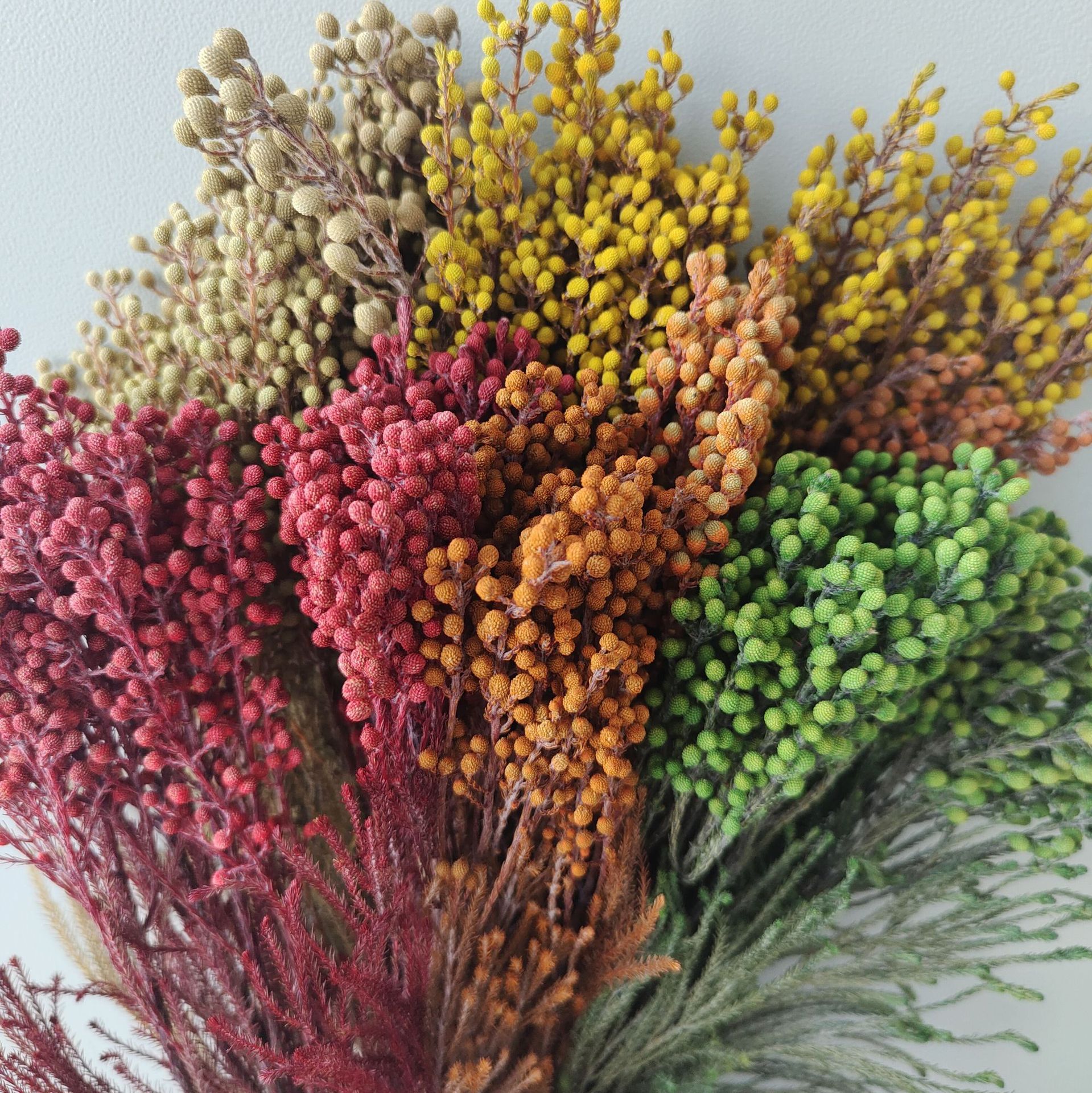 珊瑚果永生花diy家居装饰花万家