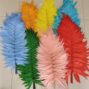 永生大蕨叶金钱蕨保鲜花羊齿类叶材小清新永生叶材拍摄装饰10片