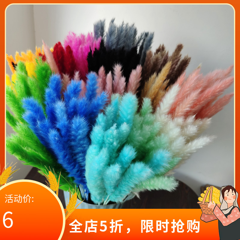 ins网红北欧干花束粉色小芦苇森系婚纱摄影婚礼装饰家居装饰服装